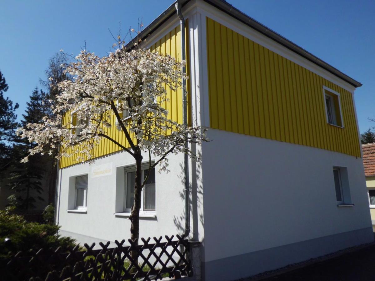 Ferienwohnung Im Haus Sonnenschein Beim Senftenberger See Hosena Extérieur photo